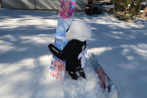 Inspiration Point Snowboard