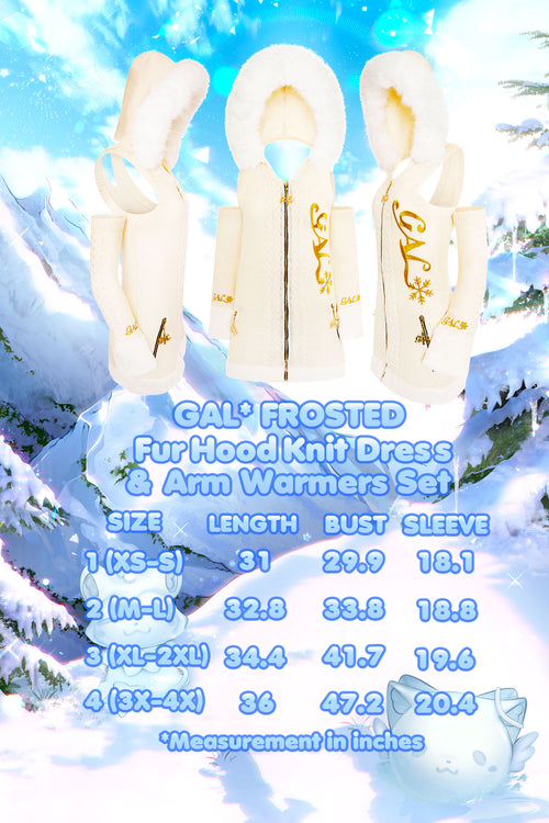 GAL* Frosted Fur Hood Knit Dress and Arm Warmers Set